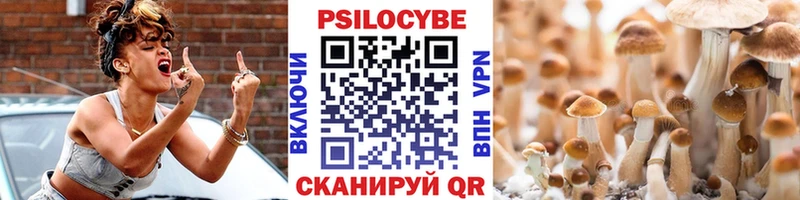 МЕГА ONION  продажа наркотиков  Челябинск  Псилоцибиновые грибы Psilocybe 